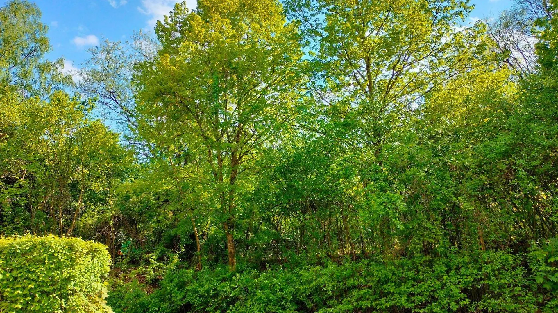 Apartment Rehblick Hohenwarth Ihre Gruene Ruhe Oase Германия